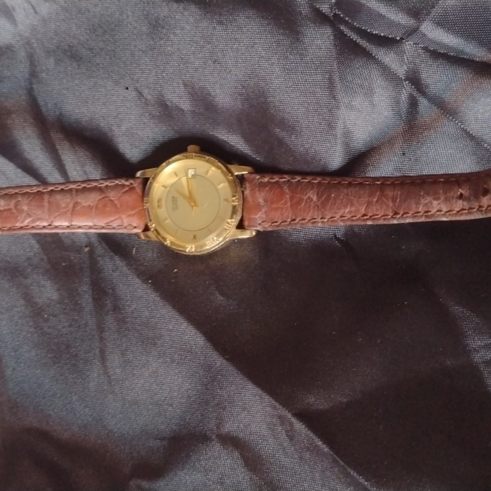 Citizen Watch